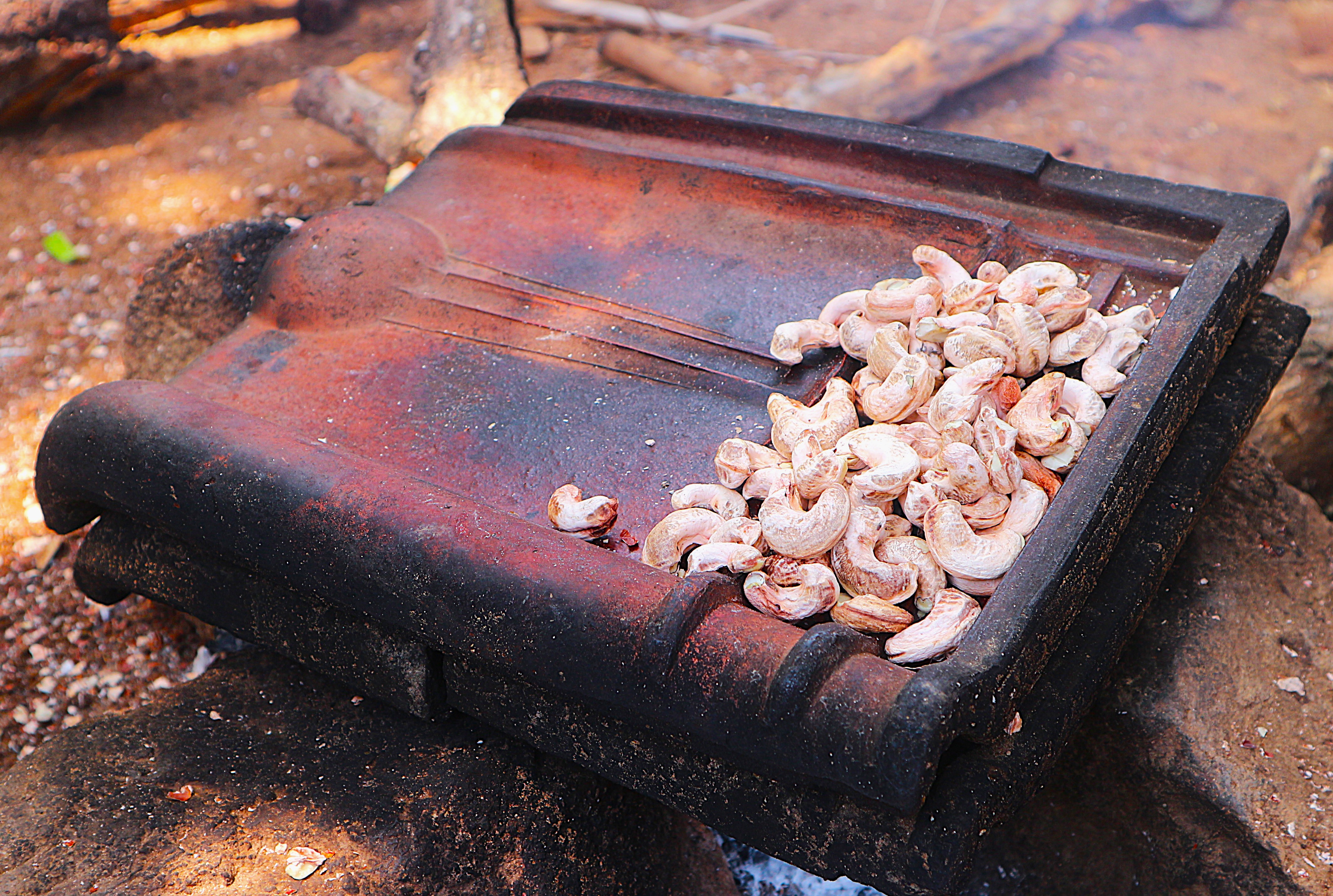 When the Journey Becomes the Destination: Finding the Rhythm of Nyamplungan, Karimunjawa